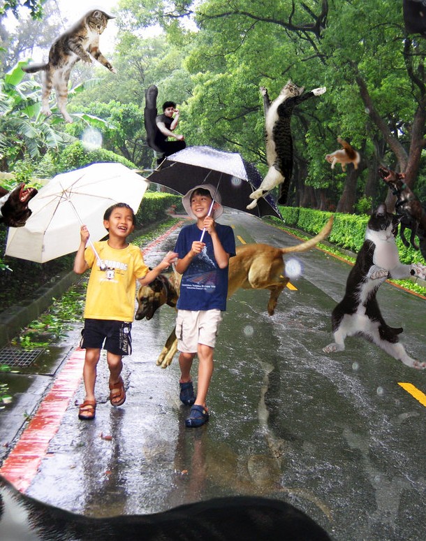 Raining_Cats_and_Dogs_by_b0rab0ra