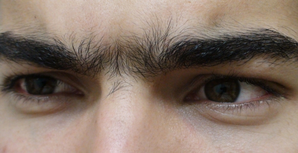 en.wikipedia.org Unibrow_Close_Up