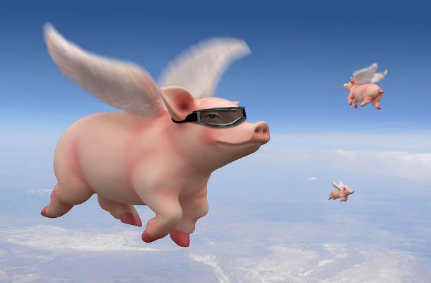 pig-flying
