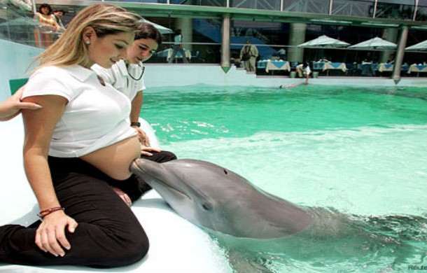 Dolphin Therapy