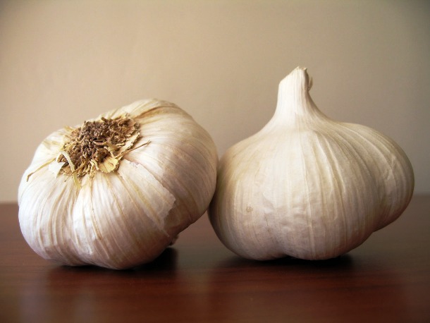 dishbydish.net garlic2