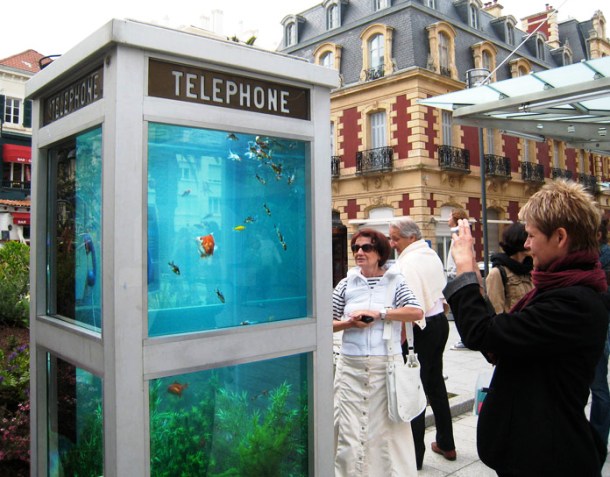 hollymcnicol.co.uk benedetto-bufalino-phone-booth-aquarium-designboom02