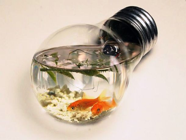 www.gadgetgrid.com fish-tank-light-bulb