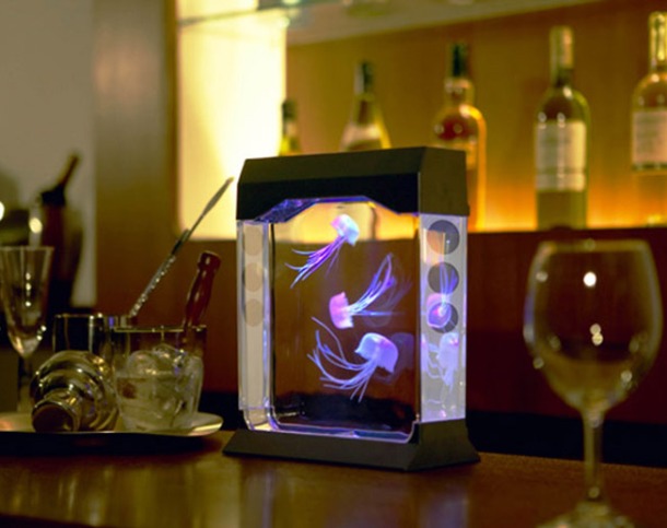 www.thegreenhead.com aquapict-led-illuminated-jellyfish-aquarium-xl