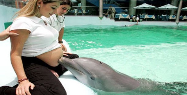 A person medical treatment touching a dolphin