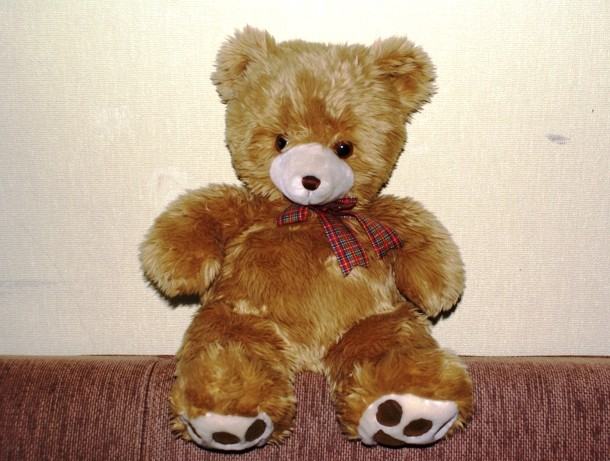 commons.wikimedia.org Teddy_bear