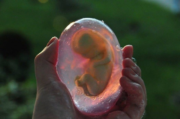 23 - Foetus Soap