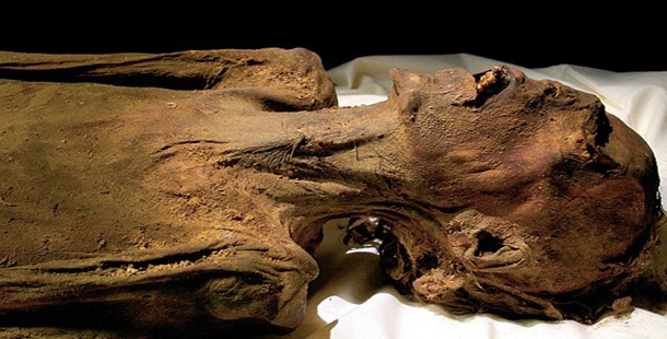 A close-up of a piece of mummy