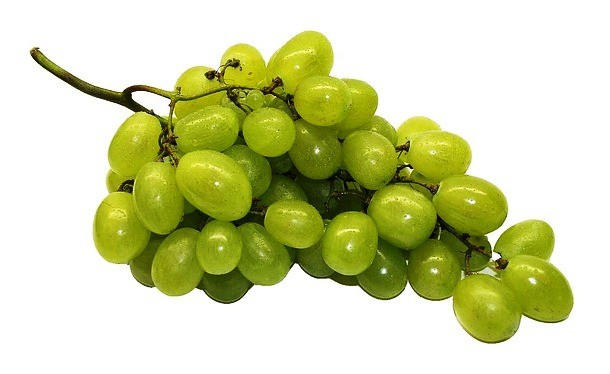 table-grapes-74344_640