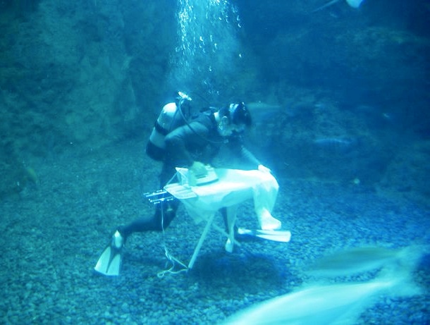 theskimonster.com Underwater-Extreme-Ironing