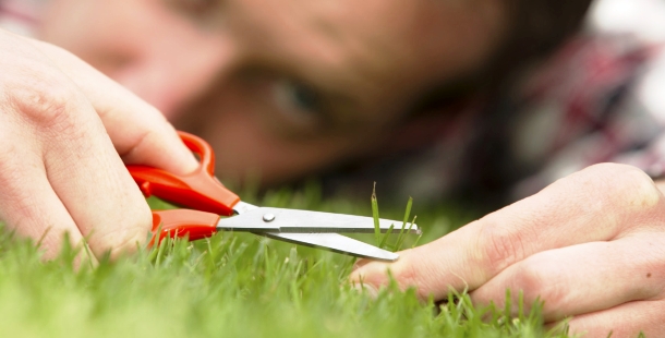 A person perfectly cutting grass with scissors
