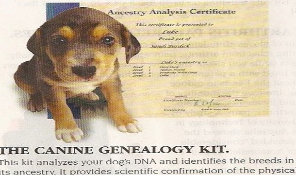 Canine Geneology Kit