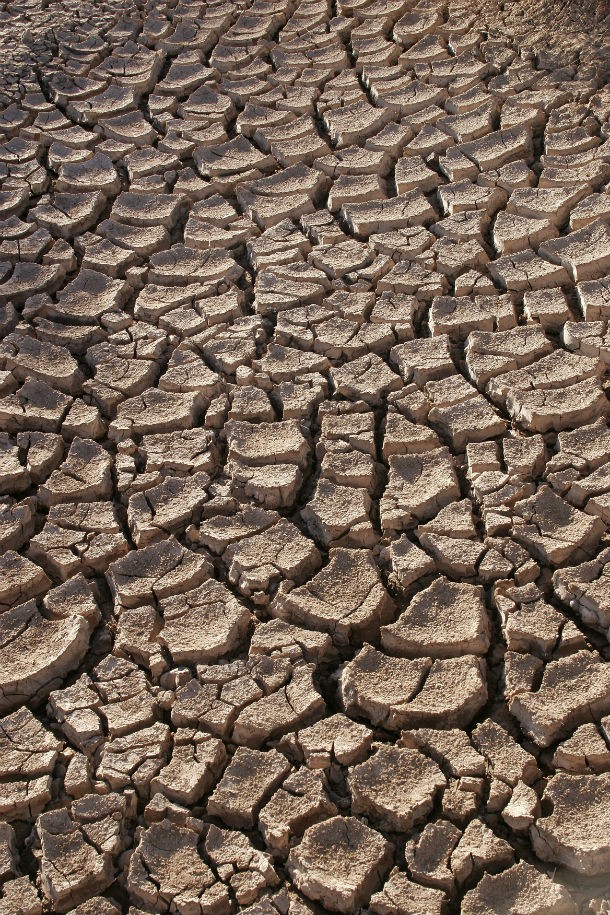 The 2012 Sahel Drought