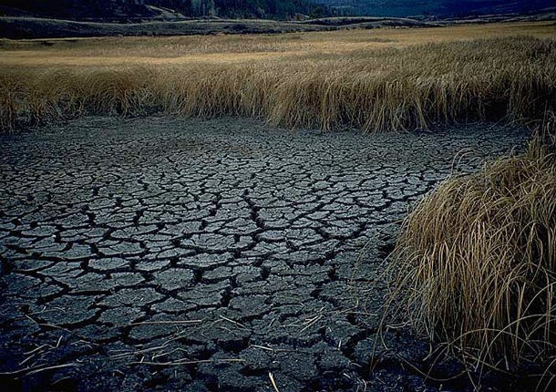 The 2000s Australian drought