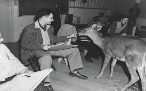 While filming Snow White and Bambi, Walt Disney kept a menagerie of animals on the studio lot as live reference for the animators. Now that’s a smart boss.