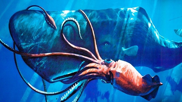 Giant Squid fight with sperm whale