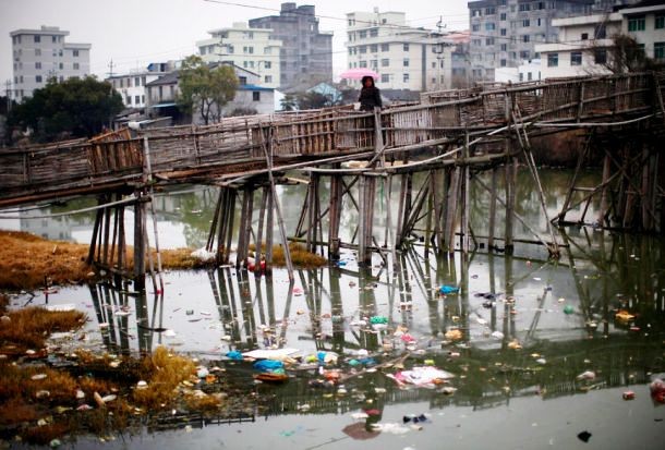 polluted waters in Wenzhou