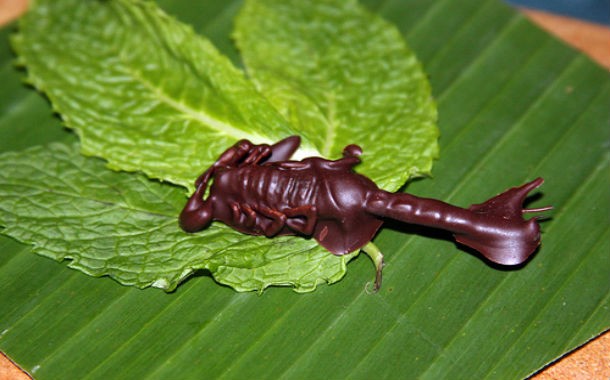 Scorpion Chocolate