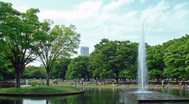 Yoyogi Park, Tokyo