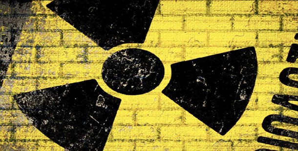 25 surprising effects of the chernobyl nuclear meltdown on the environment