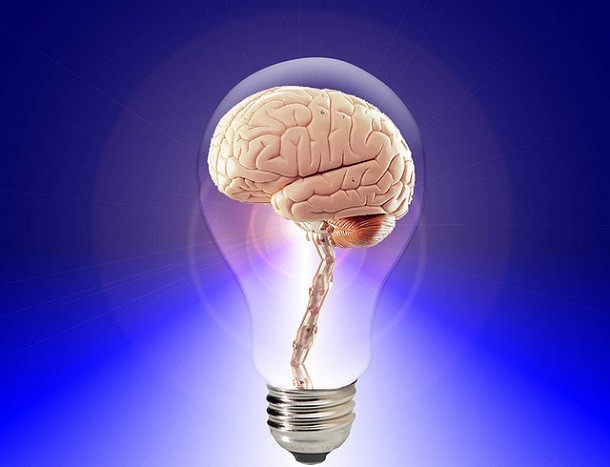 brain in lightbulb