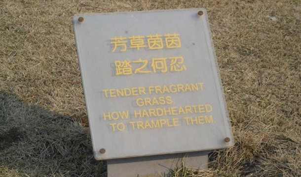 tender fragrant grass, how hardhearted to trample them