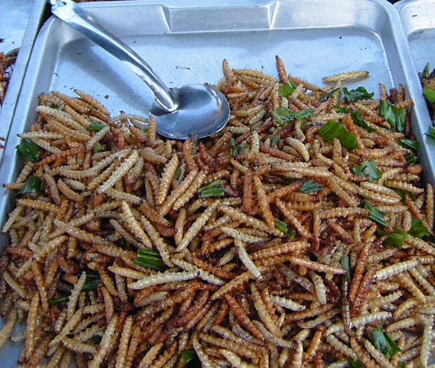 Bamboo_worms_on_plate