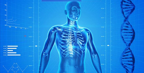 A facts about human body with blue x-ray of a person