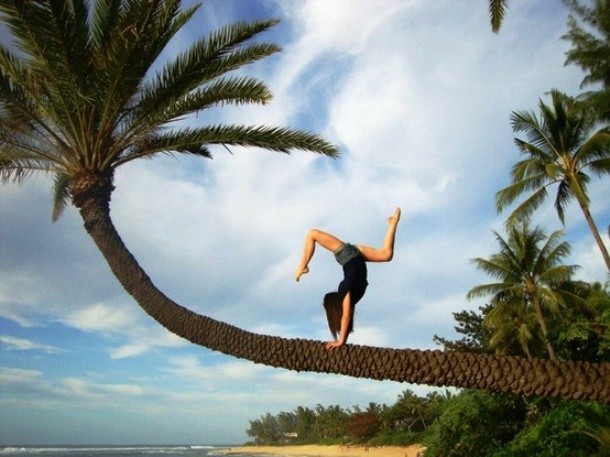 girl posing on palm tree