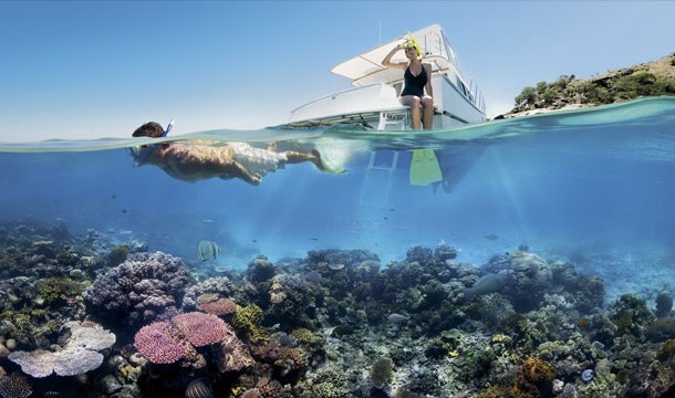 Snorkeling along the Great Barrier Reef