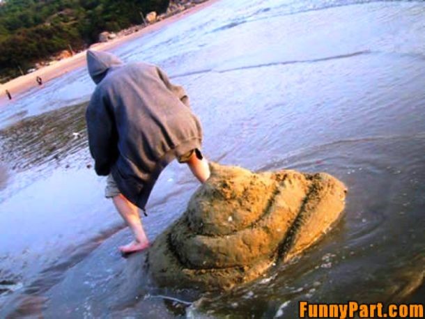 beach poop