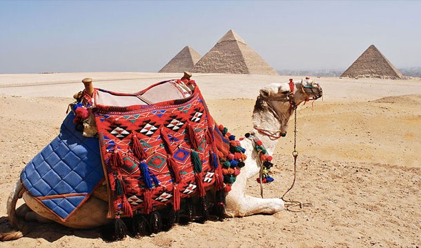 Riding a camel with the Great Pyramid of Giza in the background