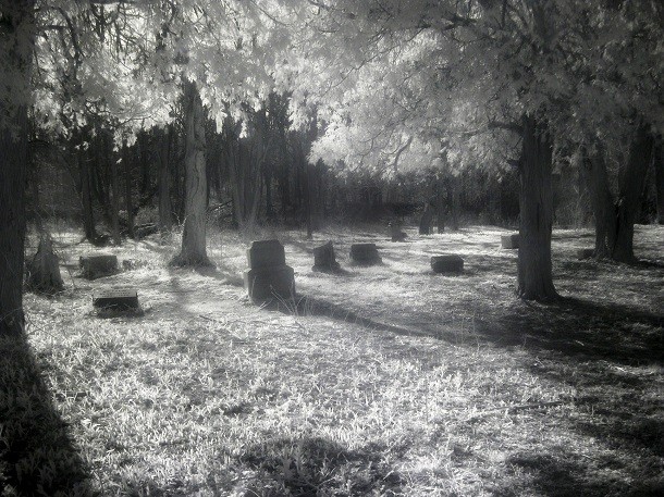 Bachelor's Grove Cemetery - Chicago