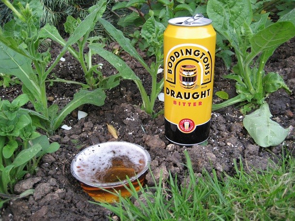 beer for slugs