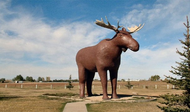 The World's Largest Moose (Canada)