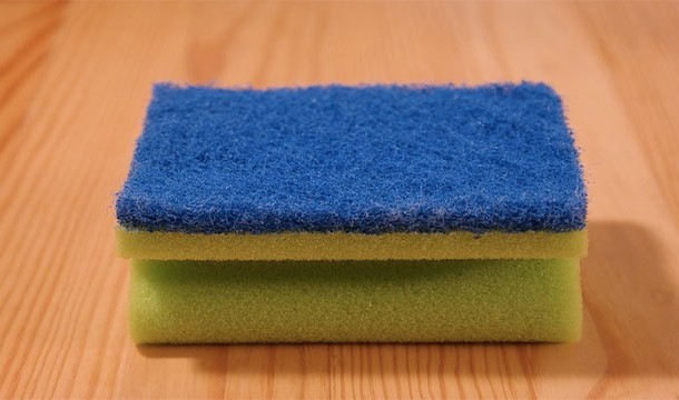Every 20 minutes new bacteria grow on the kitchen sponge