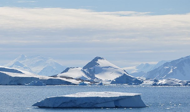 In 2007 scientists revived 8 million year old bacteria from the Antarctic ice
