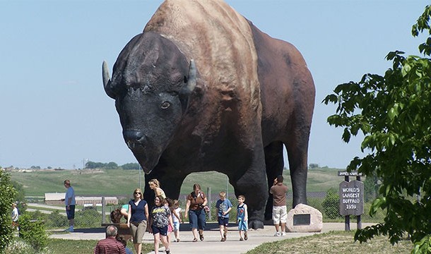 The World's Largest Buffalo (United States)