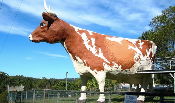 The World's Largest Cow (Australia)