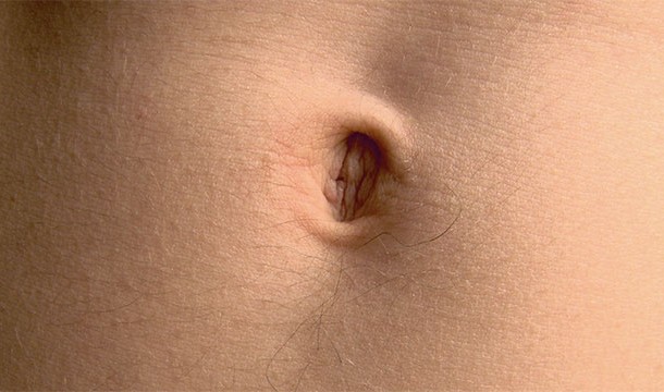 Scientists discovered over 1,458 species of bacteria in human belly buttons