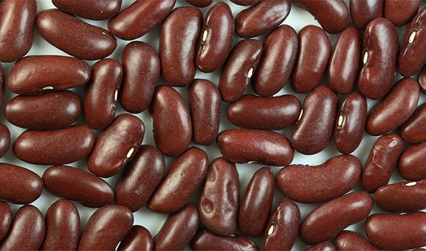 Beans increase flatulence because they carry a type of sugar called oligosaccharides which release gas as bacteria attempt to break them down