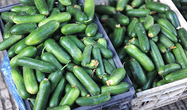 Cucumbers are actually fruits