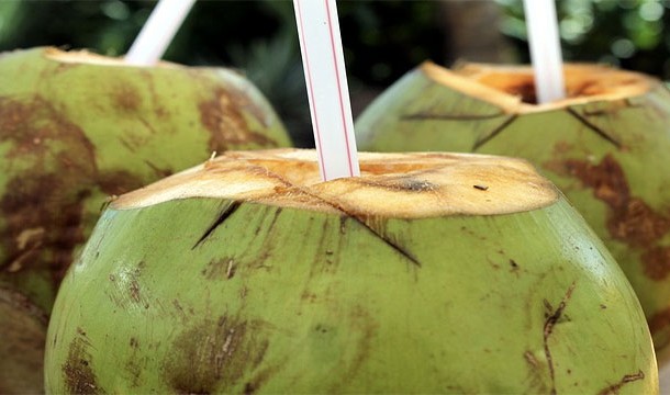 In emergencies, coconut water can be used as a substitute for blood plasma