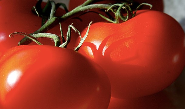 The tomato is the world's most popular fruit