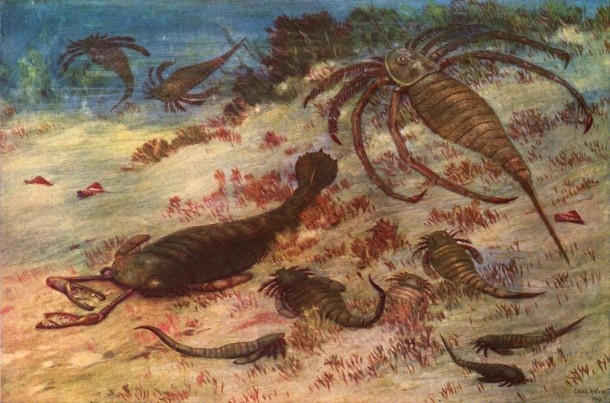Scorpion ancestor