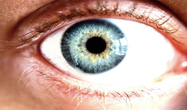 Your cornea extracts oxygen directly from the air. It has no blood supply.