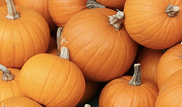 Some states like New Jersey exempt pumpkins from a sales tax but only if they are meant to be eaten and not carved.