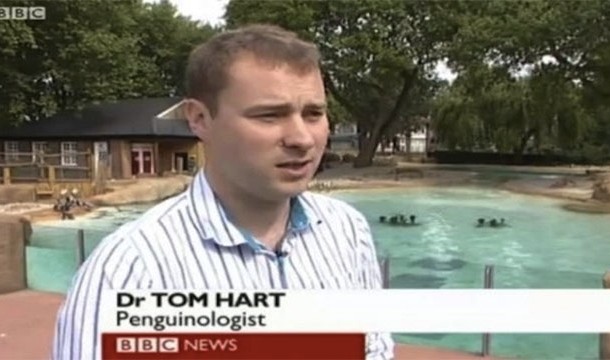 penguinologist