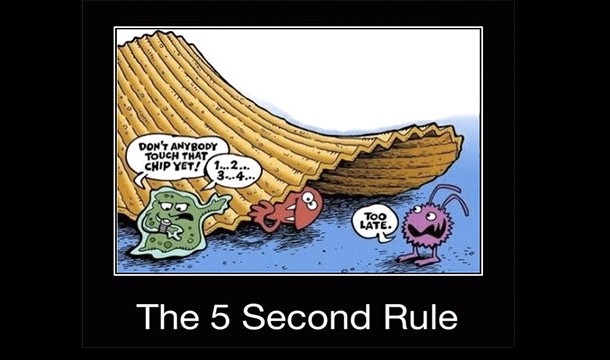 Is the 5 second rule true?