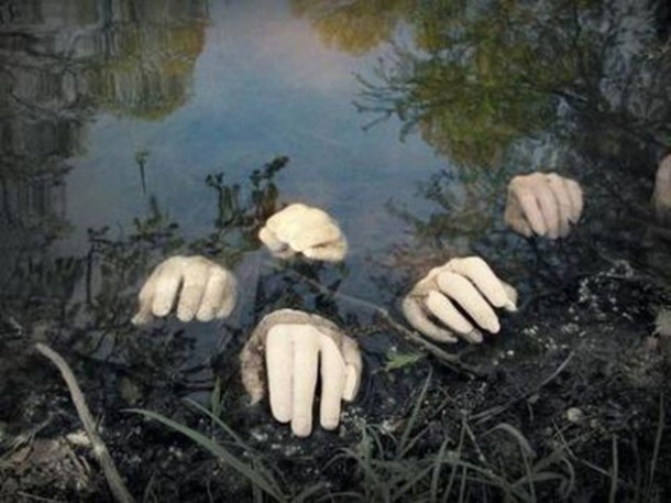 Hands in pond